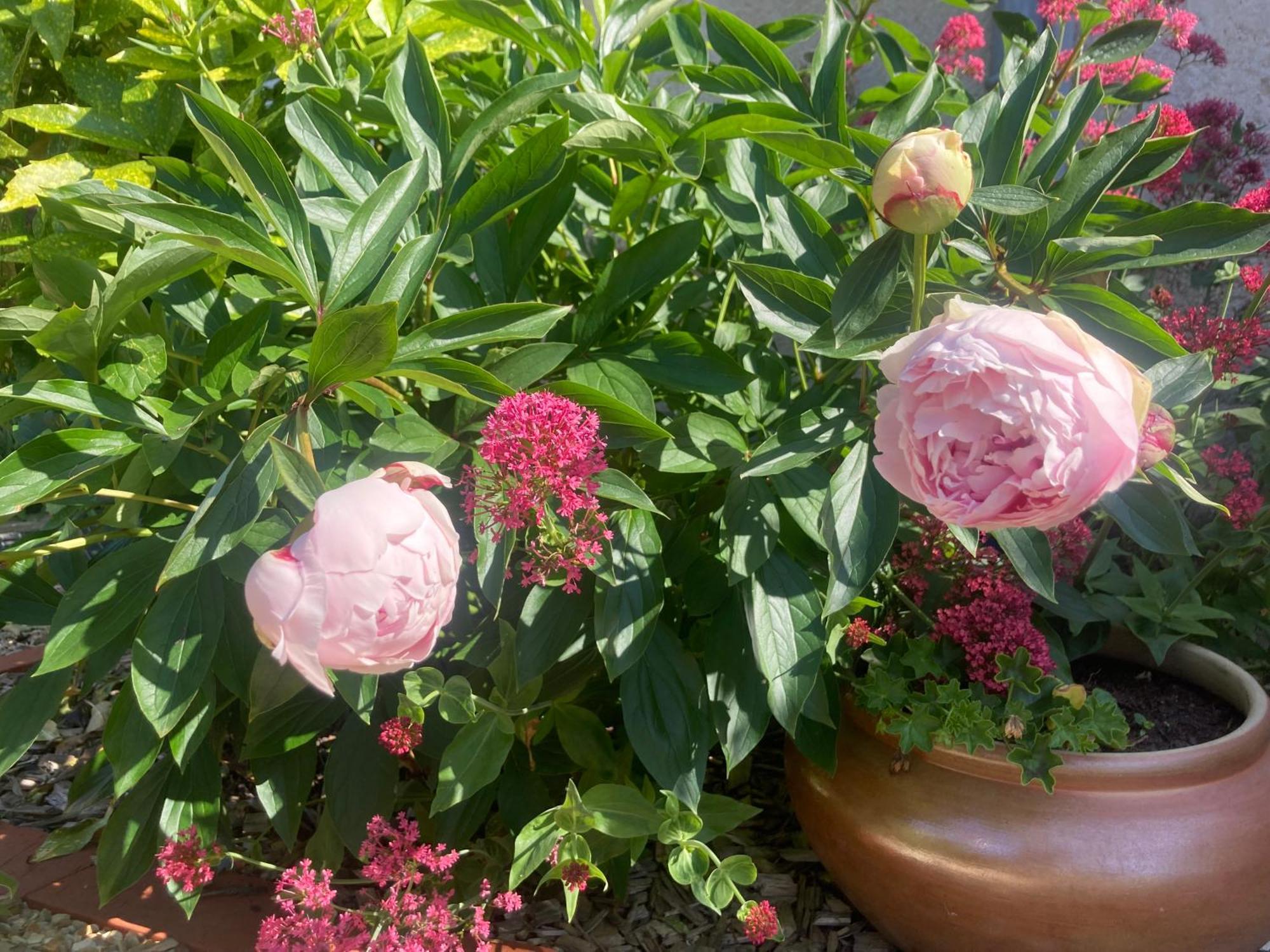 Вілла Logis Cote Jardin Varennes-les-Narcy Екстер'єр фото